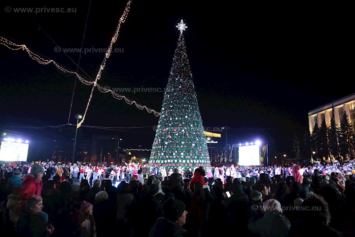 Fotografie eveniment