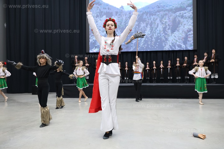 Fotografie eveniment