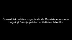 Consultări publice organizate de Comisia economie, buget și finanțe privind activitatea băncilor