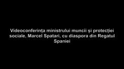 Videoconferința ministrului muncii și protecției sociale, Marcel Spatari, cu diaspora din Regatul Spaniei