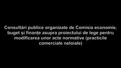 Consultări publice organizate de Comisia economie, buget și finanțe asupra proiectului de lege pentru modificarea unor acte normative (practicile comerciale neloiale)
