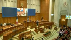 Ședința în plen a Camerei Deputaților României din 11 aprilie 2023