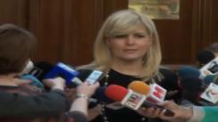Declarații de presă susținute de deputatul PDL, Elena Udrea înainte ședinței Consiliului Național Director al PDL