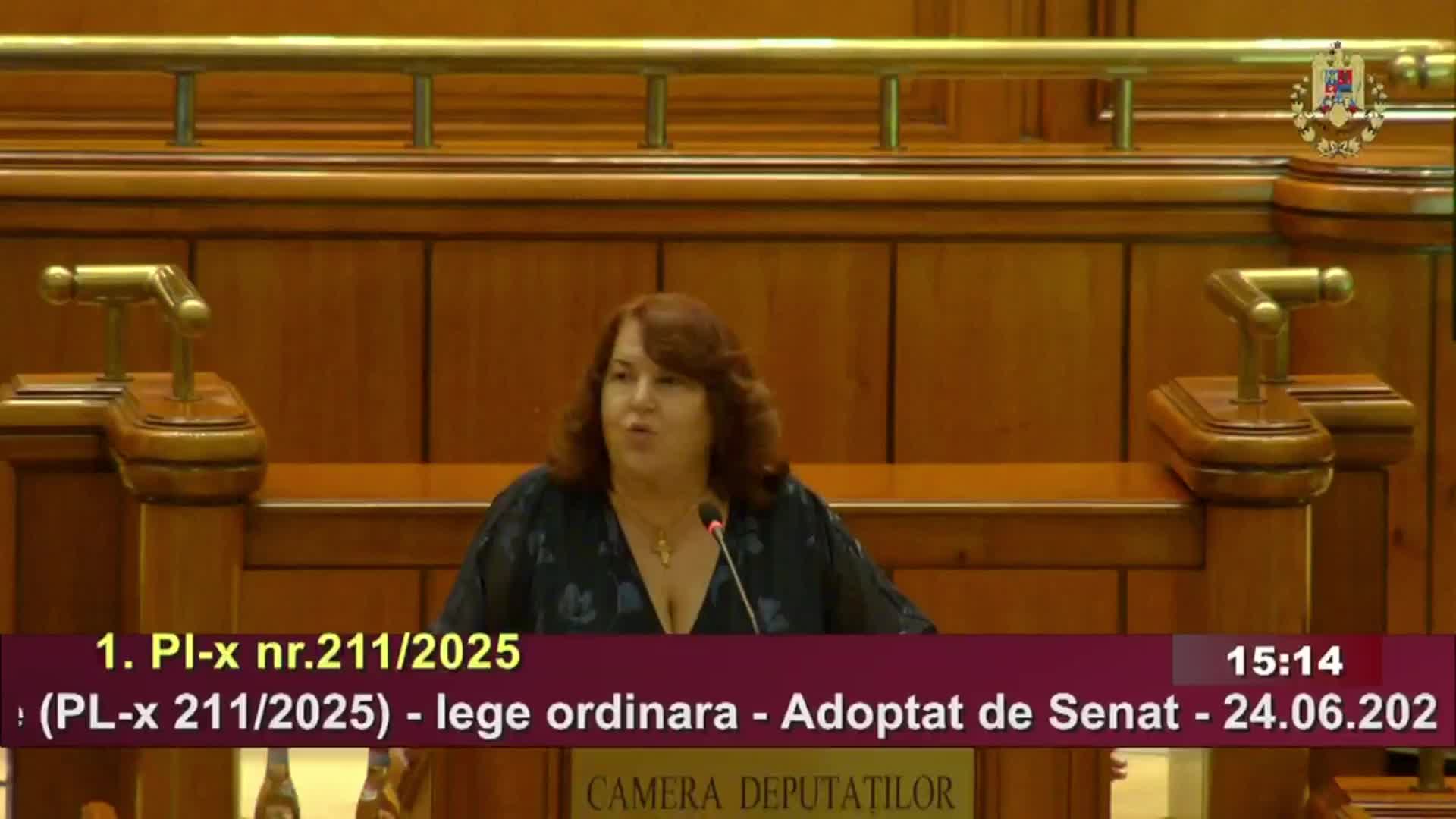 Ședința în plen a Camerei Deputaților României din 30 iunie 2025