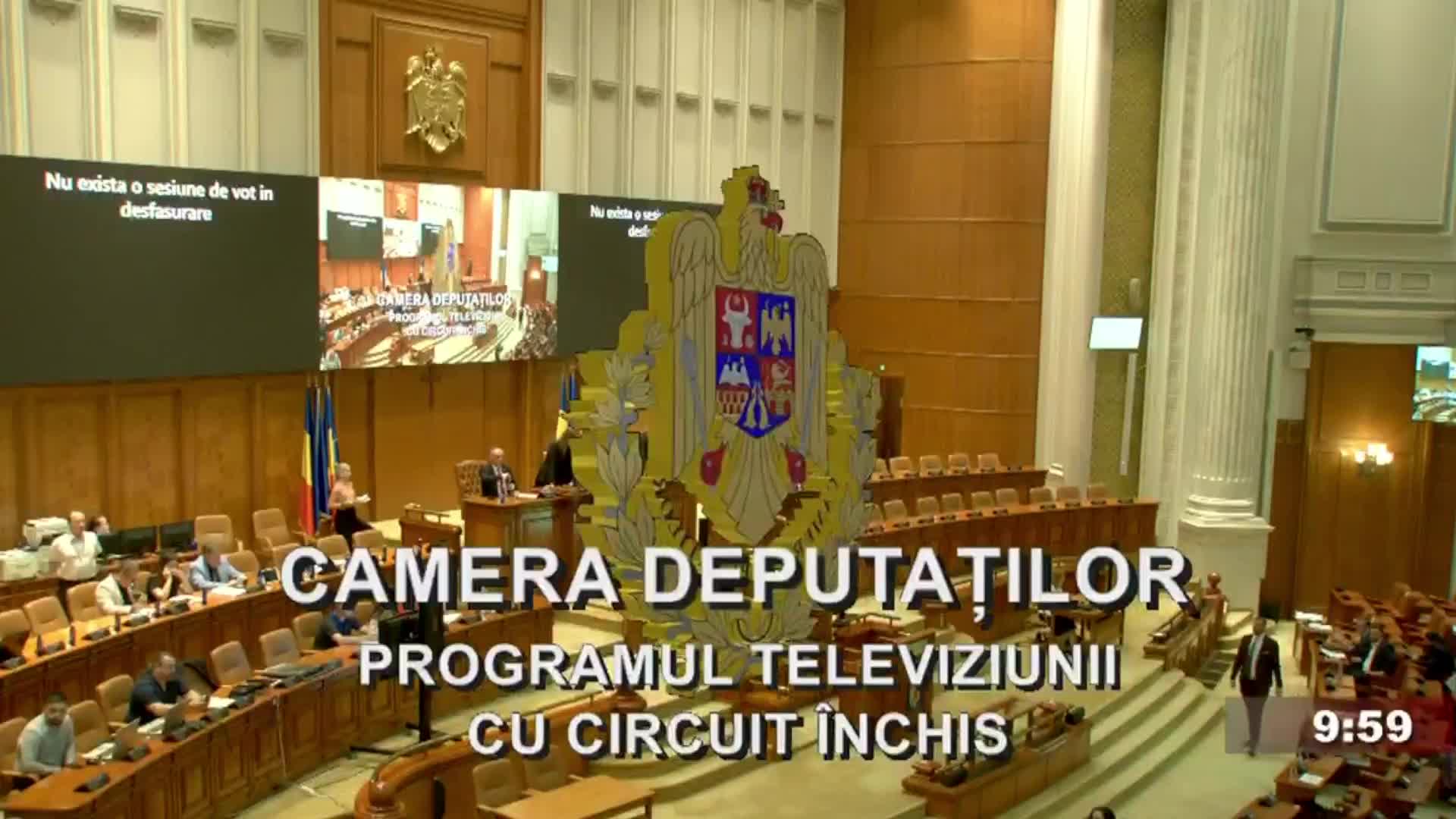Ședința în plen a Camerei Deputaților României din 29 iulie 2026