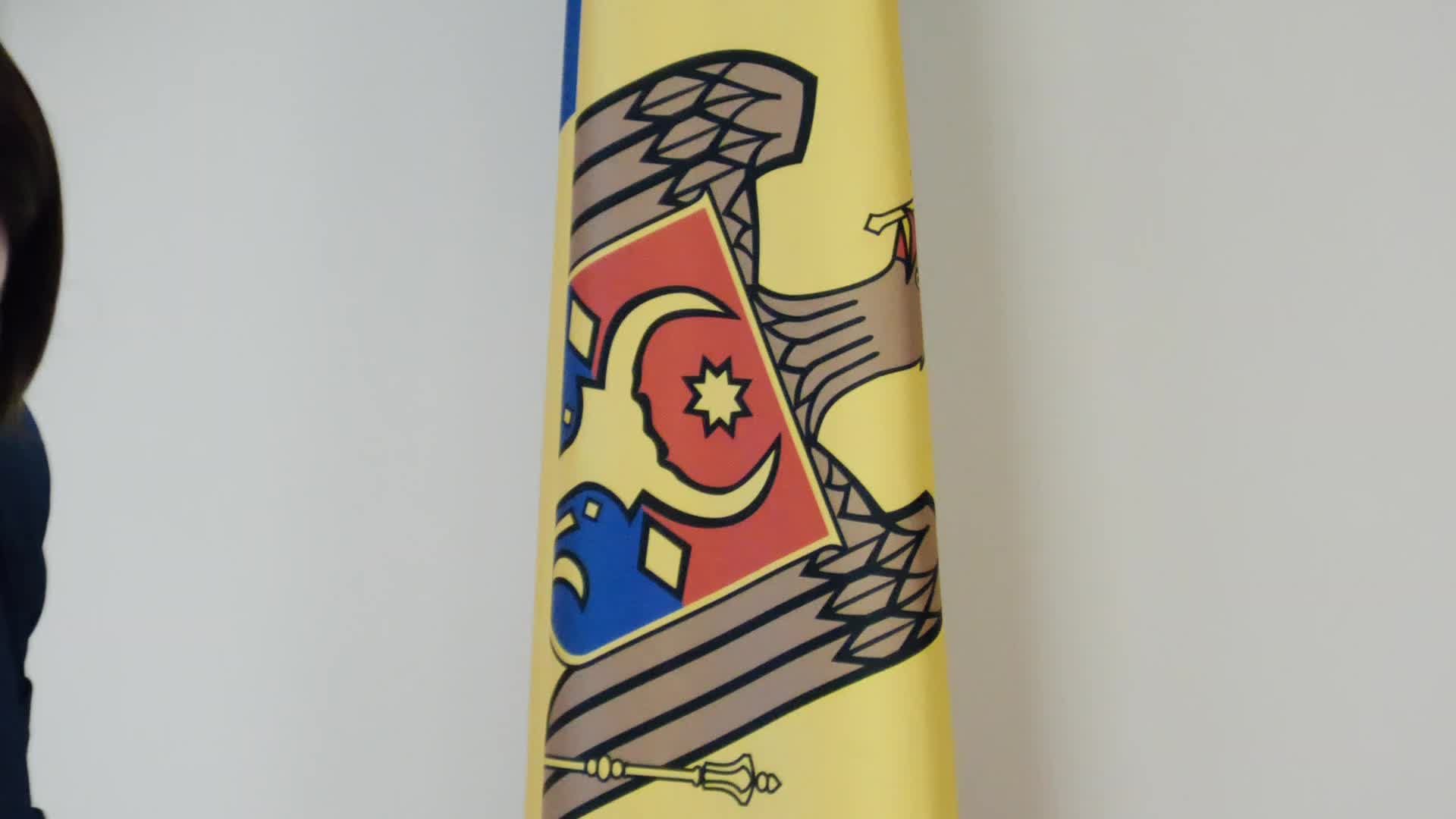 Ședința Comisiei pentru control al finanțelor publice din 19 noiembrie 2025