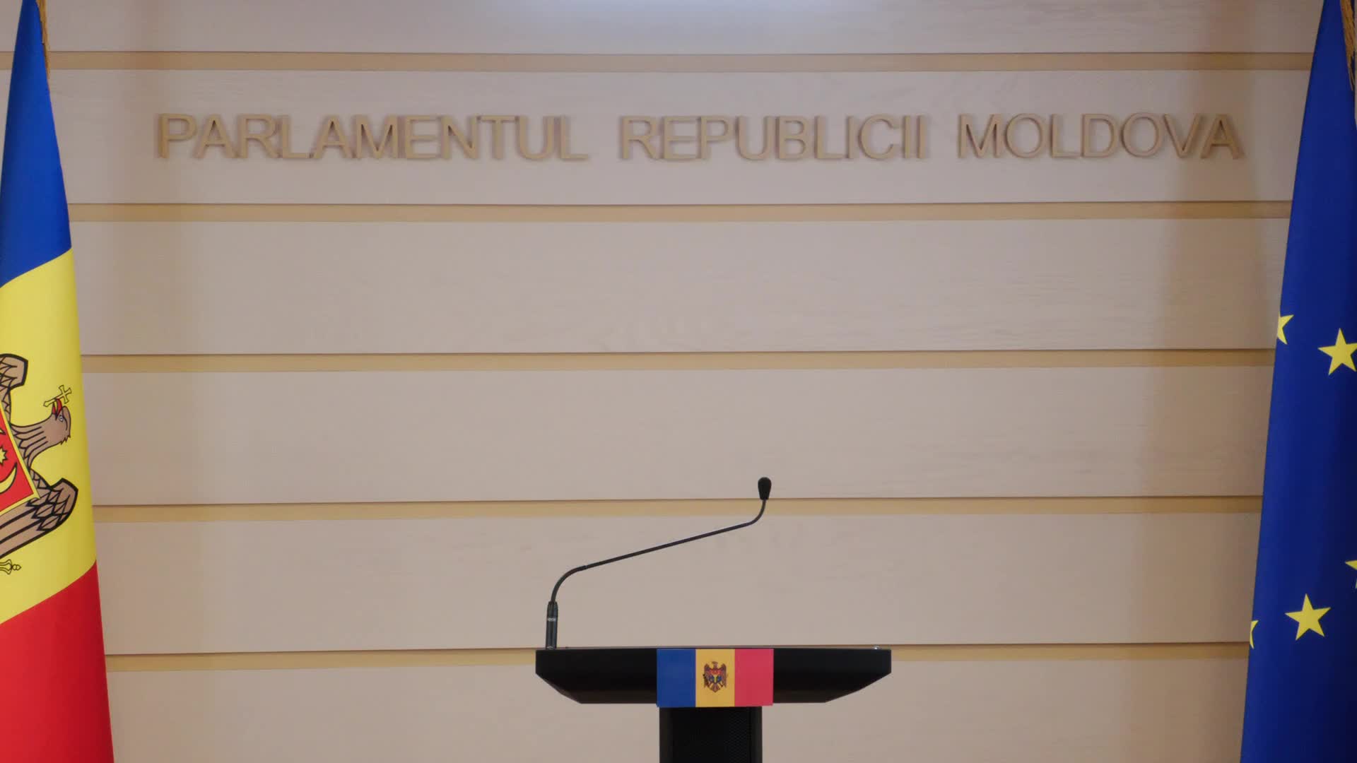 Briefing de presă al deputatei din Fracțiunea parlamentară „Democrația Acasă”, Valentina Meșină