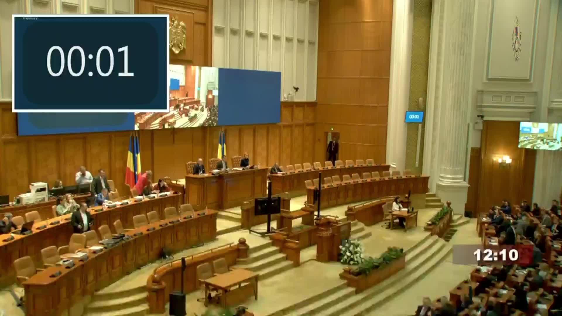 Ședința în plen a Camerei Deputaților României din 22 decembrie 2024