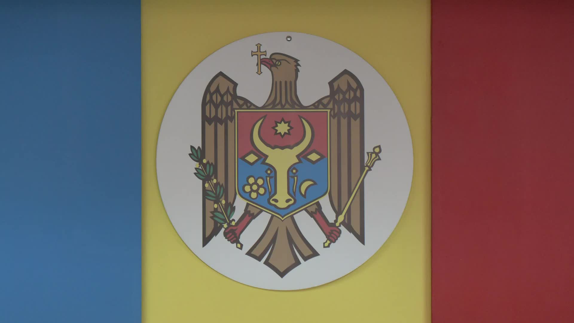 Parliamentary Elections 2025: Central Electoral Commission Briefing – 16:00