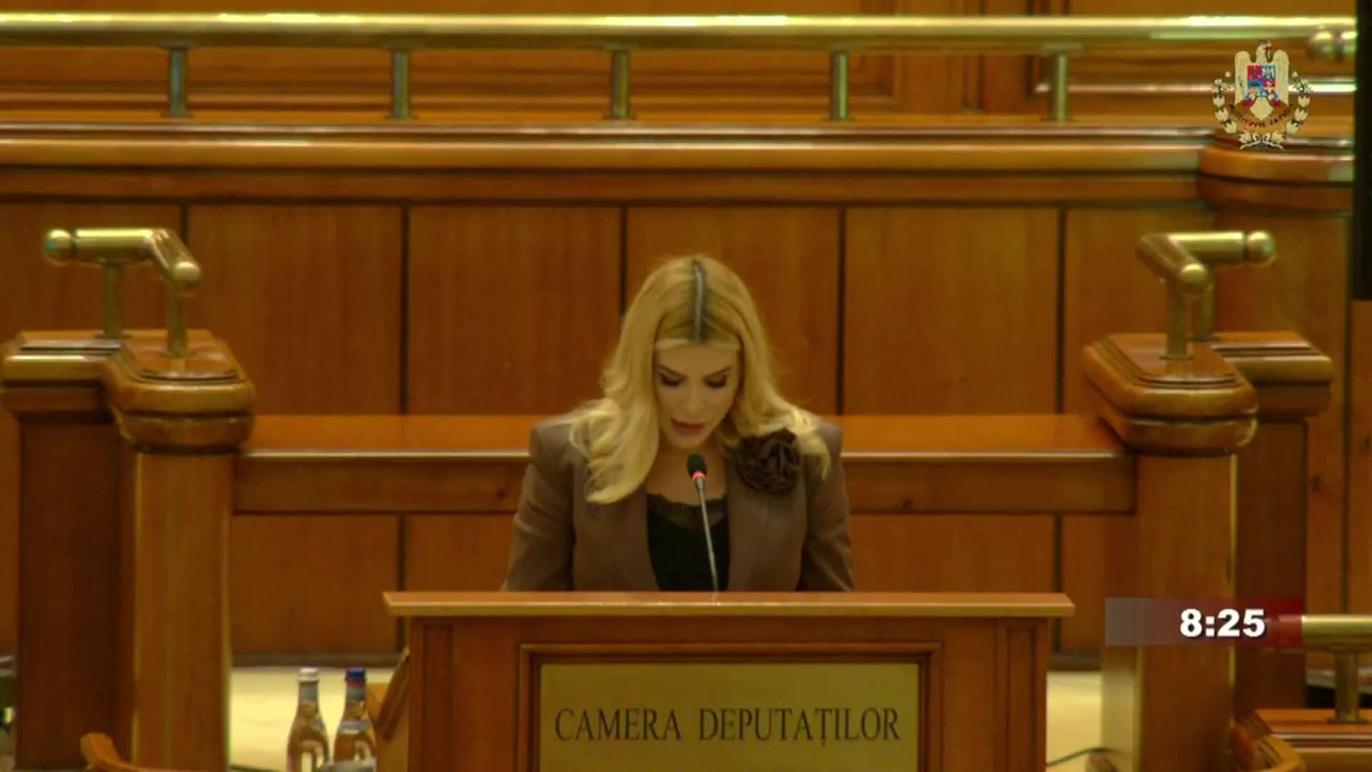 Ședința în plen a Camerei Deputaților României din 29 octombrie 2025