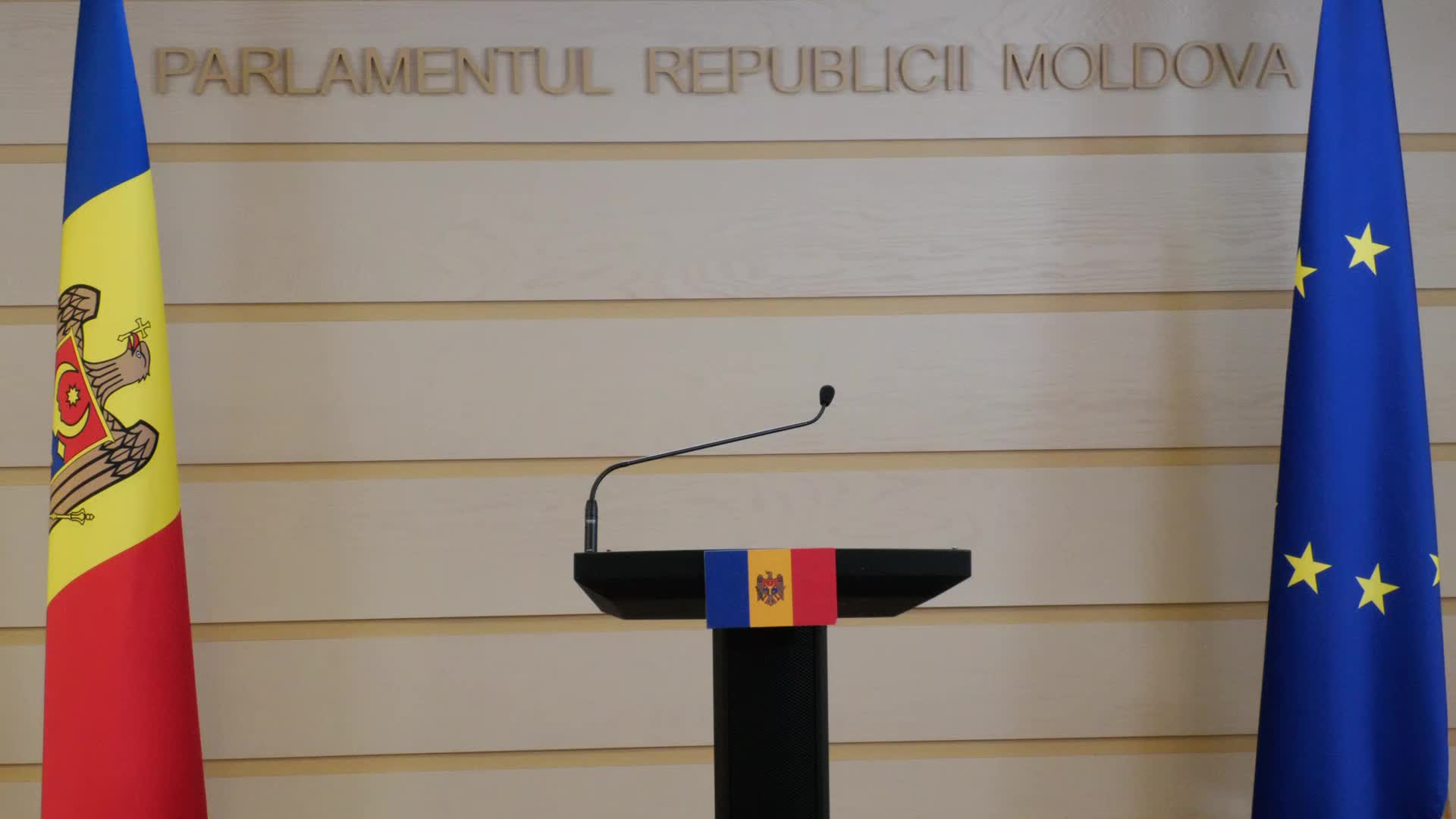 Briefing de presă al deputatei din Fracțiunea „Partidul Acțiune și Solidaritate”, Iulia Dascălu