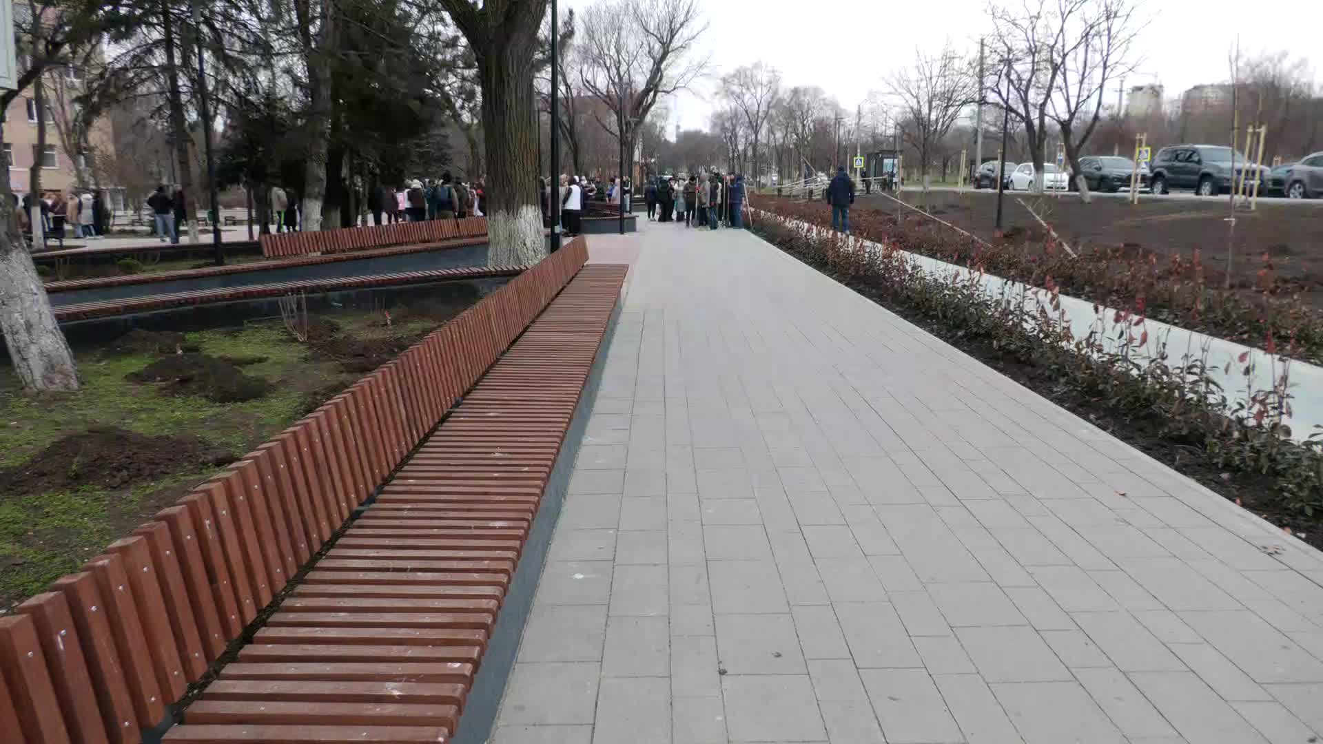 Acțiunea de plantare a arborilor în preajma Asociației Medicale Teritoriale Ciocana