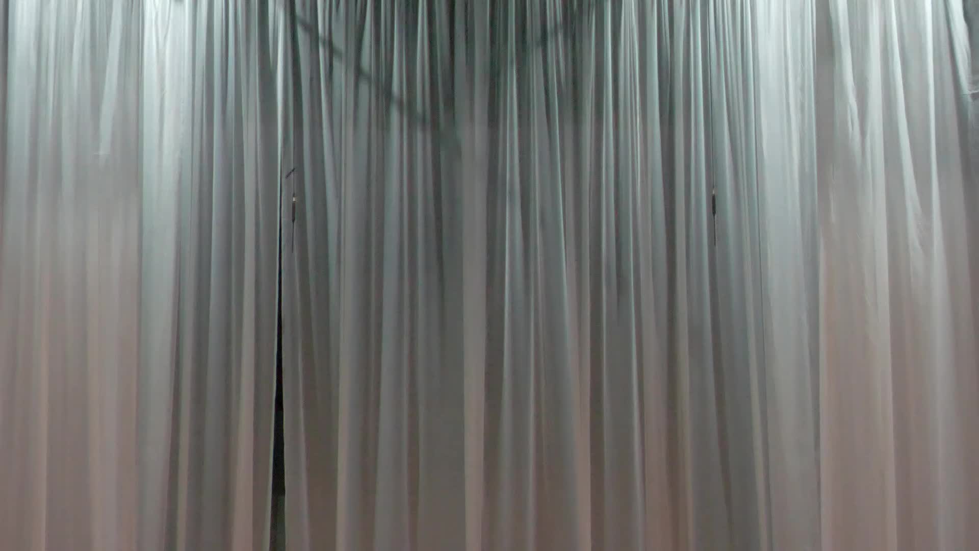 Conferință de presă organizată cu ocazia premierei spectacolului „RICHARD al III-lea” de William Shakespeare, traducere: Horia Gârbea, regie: Petru Hadârcă