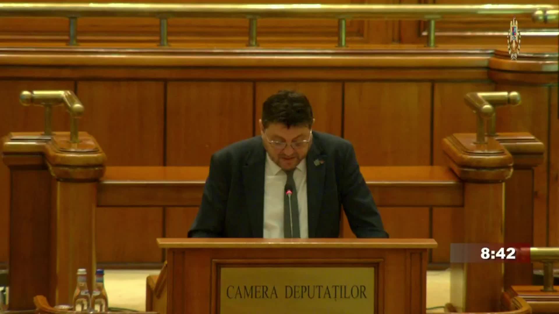 Ședința în plen a Camerei Deputaților României din 17 decembrie 2025