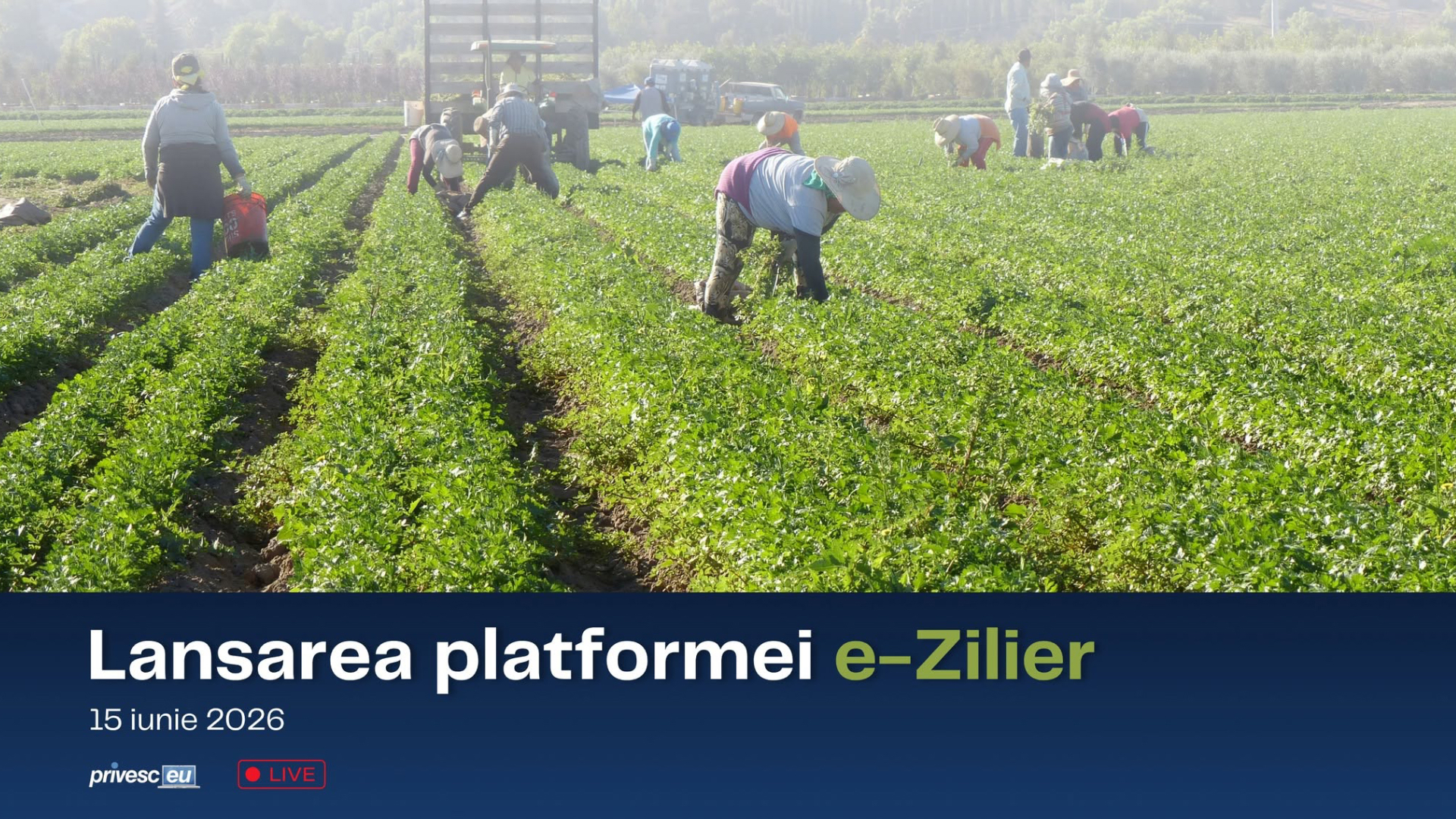 Evenimentul oficial de lansare a platformei „e-Zilier”, o soluție digitală destinată evidenței și gestionării activităților necalificate cu caracter ocazional desfășurate de zilieri