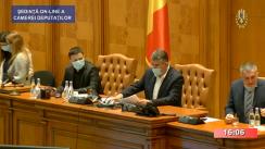 Ședința în plen a Camerei Deputaților României din 25 mai 2020