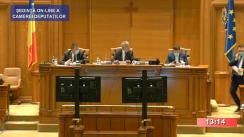 Ședința în plen a Camerei Deputaților României din 25 august 2020