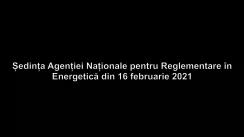 Ședința Agenției Naționale pentru Reglementare în Energetică din 16 februarie 2021