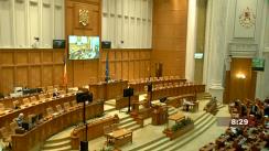 Ședința în plen a Camerei Deputaților României din 17 februarie 2021