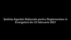 Ședința Agenției Naționale pentru Reglementare în Energetică din 23 februarie 2021