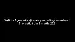 Ședința Agenției Naționale pentru Reglementare în Energetică din 2 martie 2021