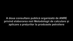 A doua consultare publică organizată de ANRE privind elaborarea noii Metodologii de calculare și aplicare a prețurilor la produsele petroliere