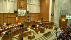 Ședința în plen a Camerei Deputaților României din 15 iunie 2021