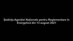 Ședința Agenției Naționale pentru Reglementare în Energetică din 13 august 2021