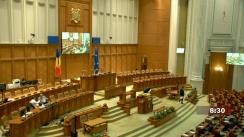 Ședința în plen a Camerei Deputaților României din 10 mai 2022