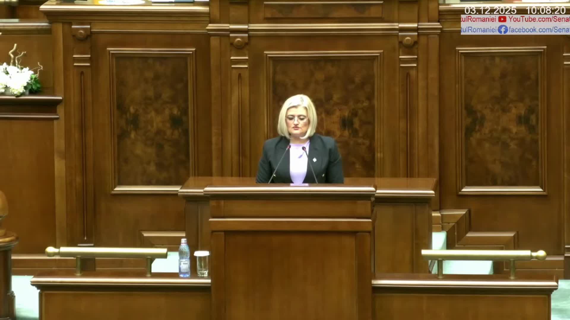 Ședința în plen a Senatului României din 3 decembrie 2025