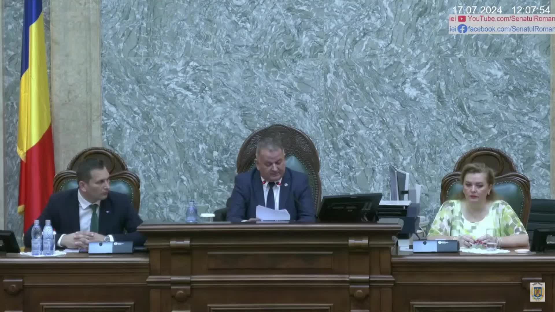 Ședința în plen a Senatului României din 17 iulie 2024