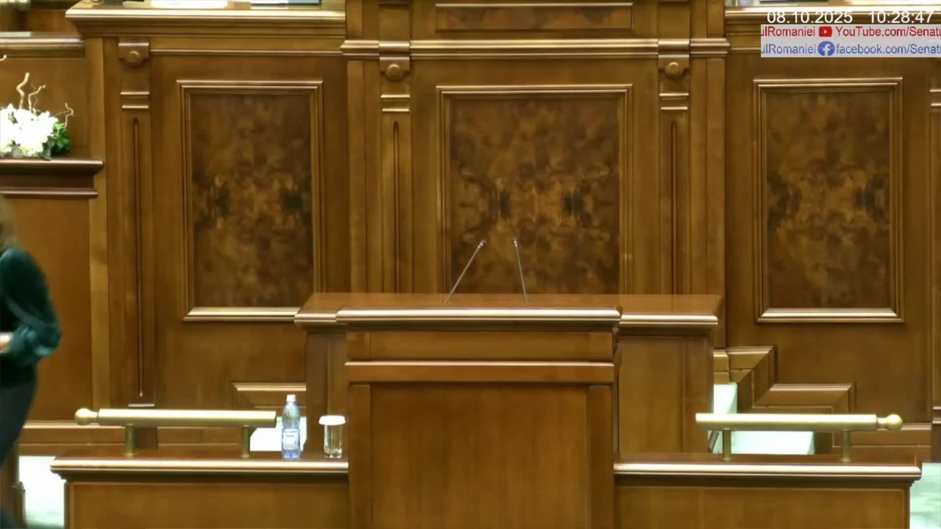 Ședința în plen a Senatului României din 8 octombrie 2025