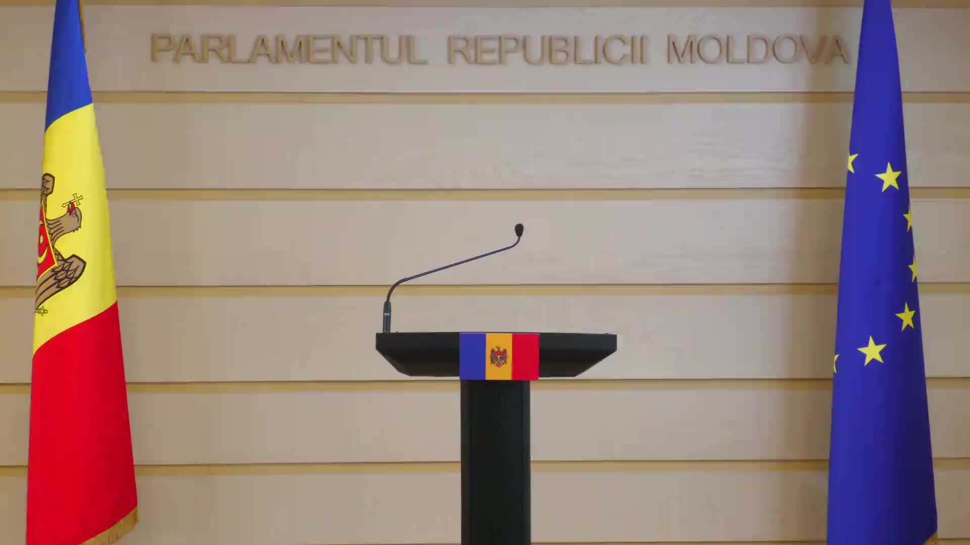 Briefing de presă susținut de președintele Comisiei securitate națională, apărare și ordine publică, Lilian Carp, privind concluziile făcute după audierea privind fraudele electorale constatate în cadrul alegerilor prezidențiale și a referendumului republican