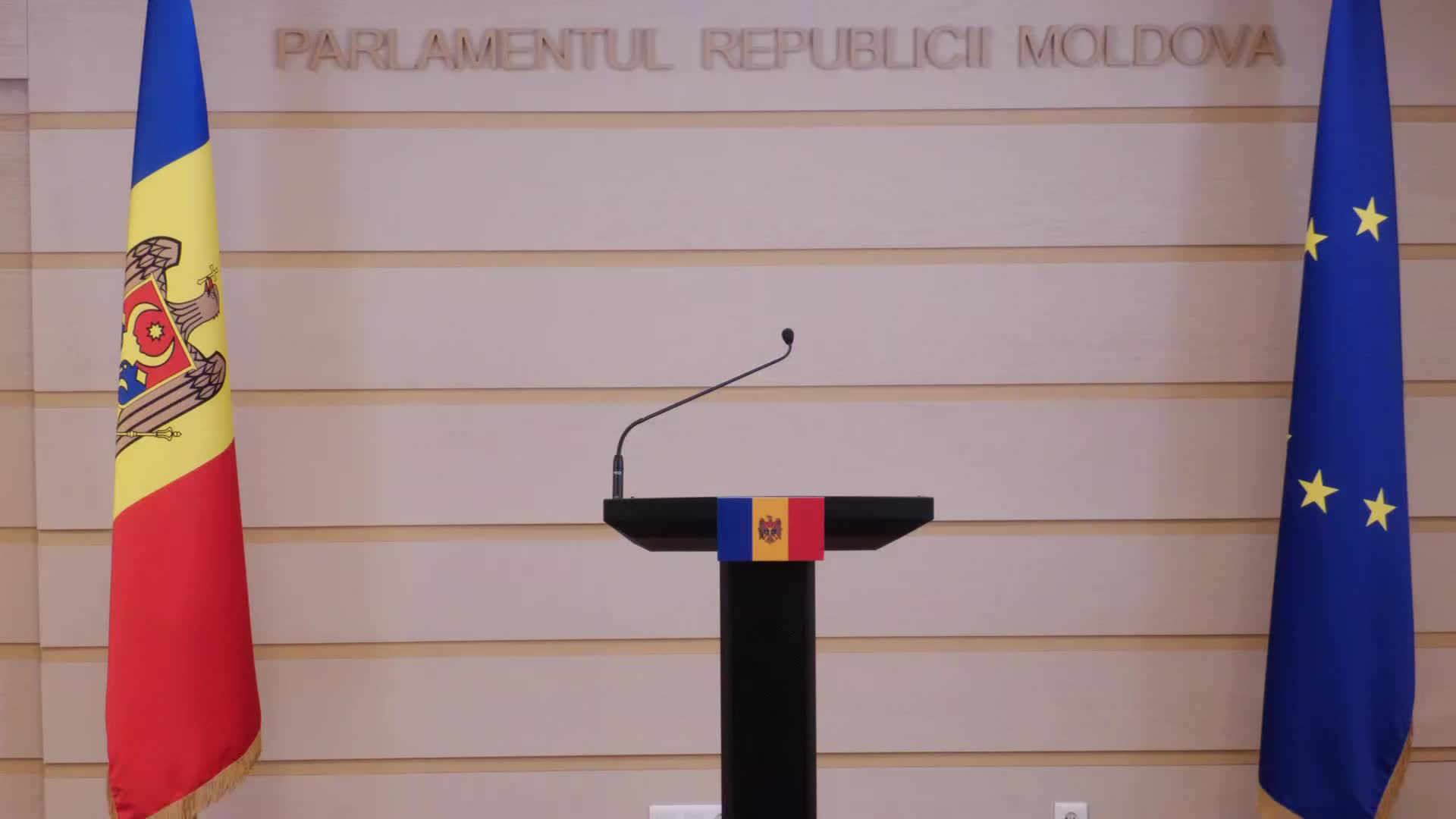 Briefing de presă al deputatei PSRM, Ala Ursu-Antoci