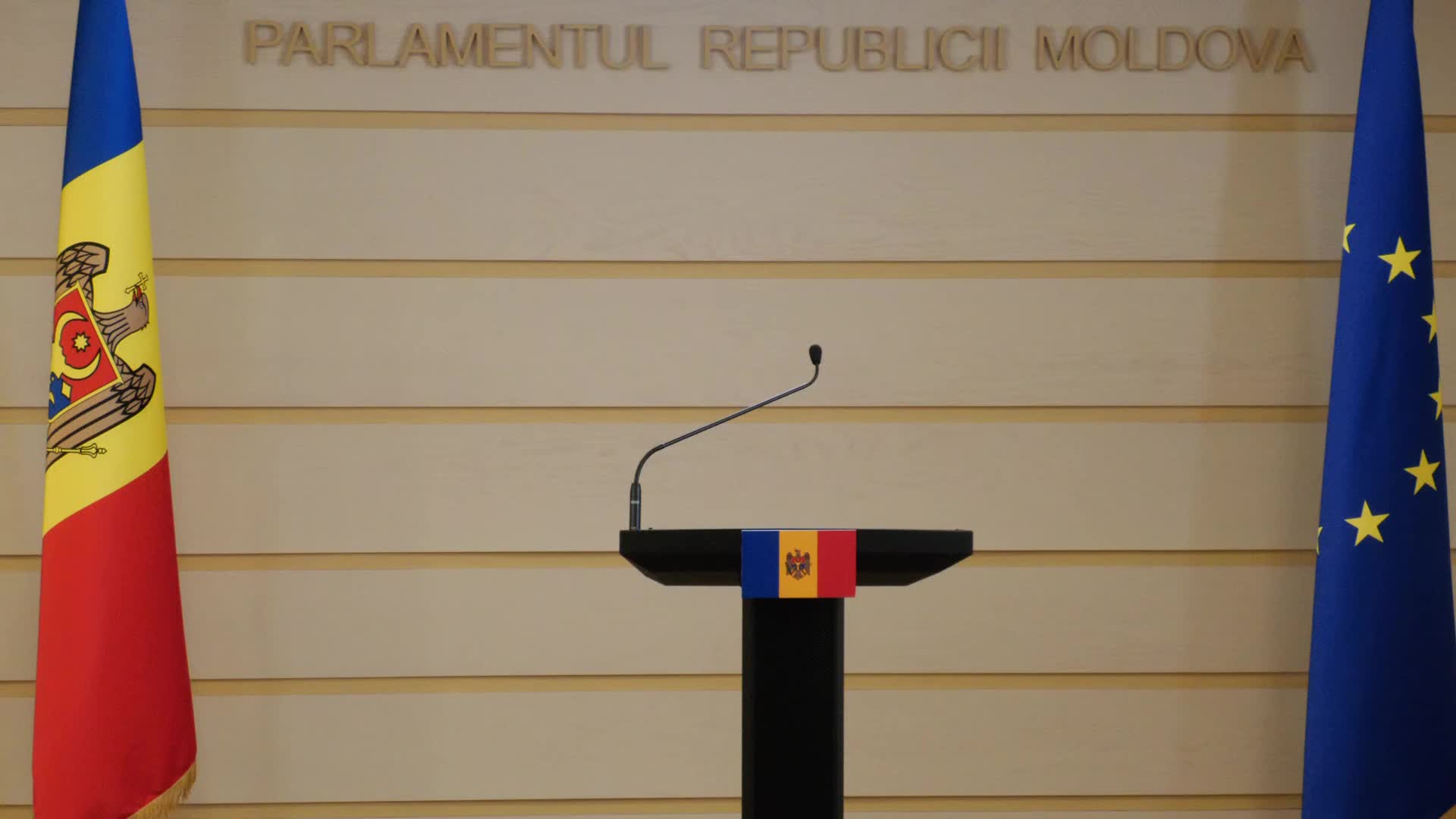 Conferință de presă susținută de către deputații Partidului Mișcarea Alternativa Națională
