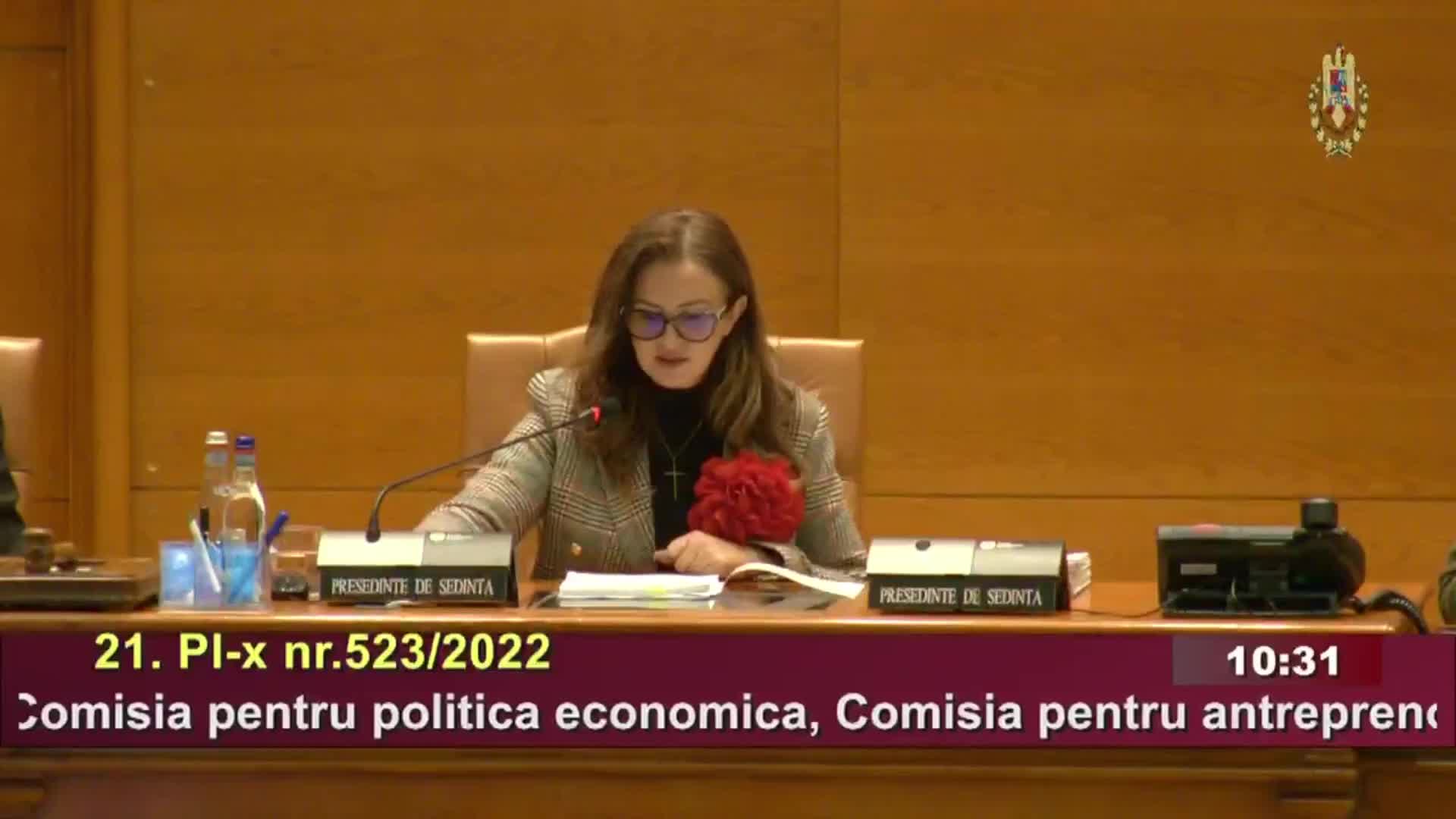 Ședința în plen a Camerei Deputaților României din 8 octombrie 2025