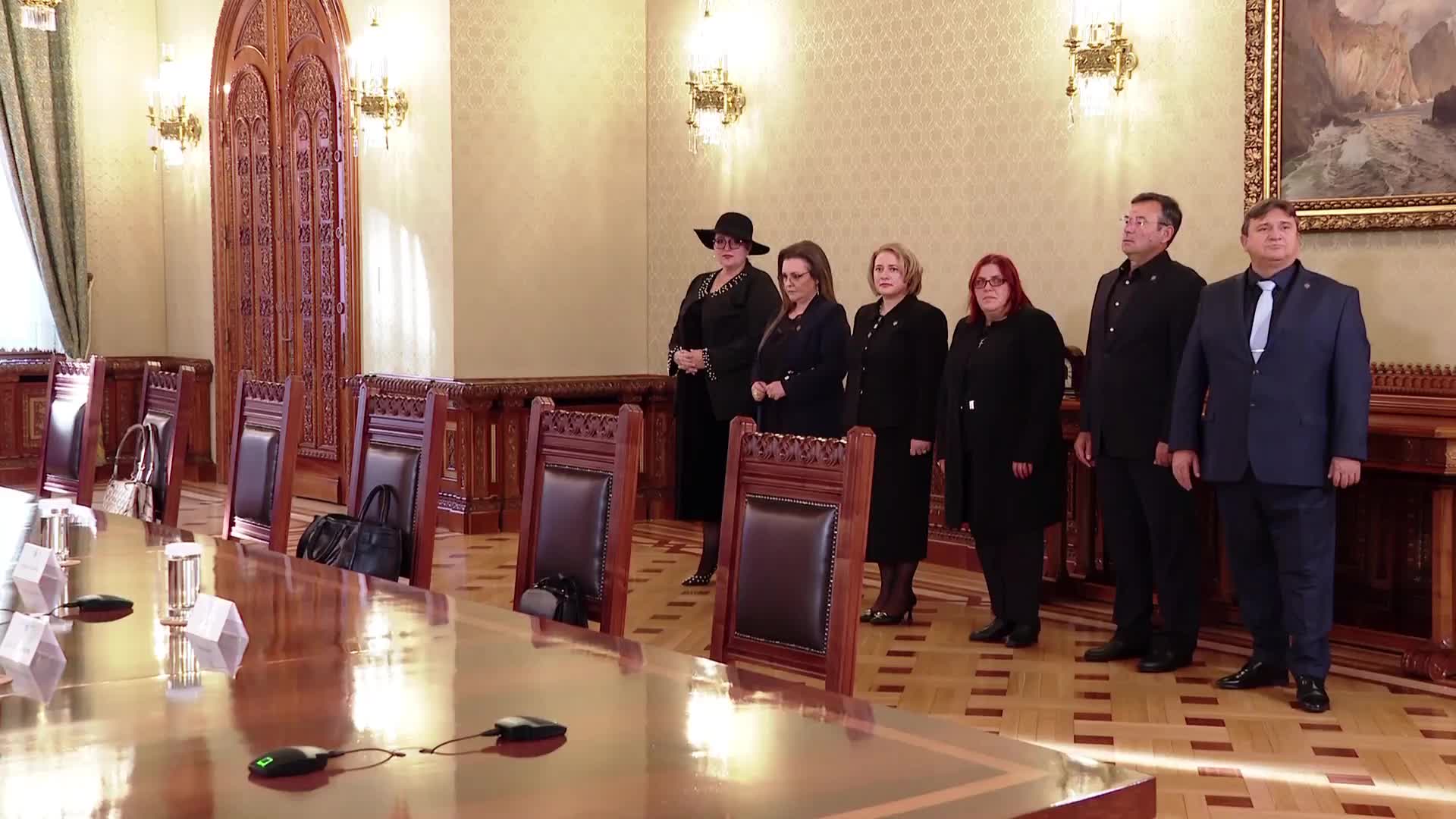 Consultări cu partidele și formațiunile politice parlamentare în vederea desemnării candidatului la funcția de prim-ministru - Partidul S.O.S. România (SOS)