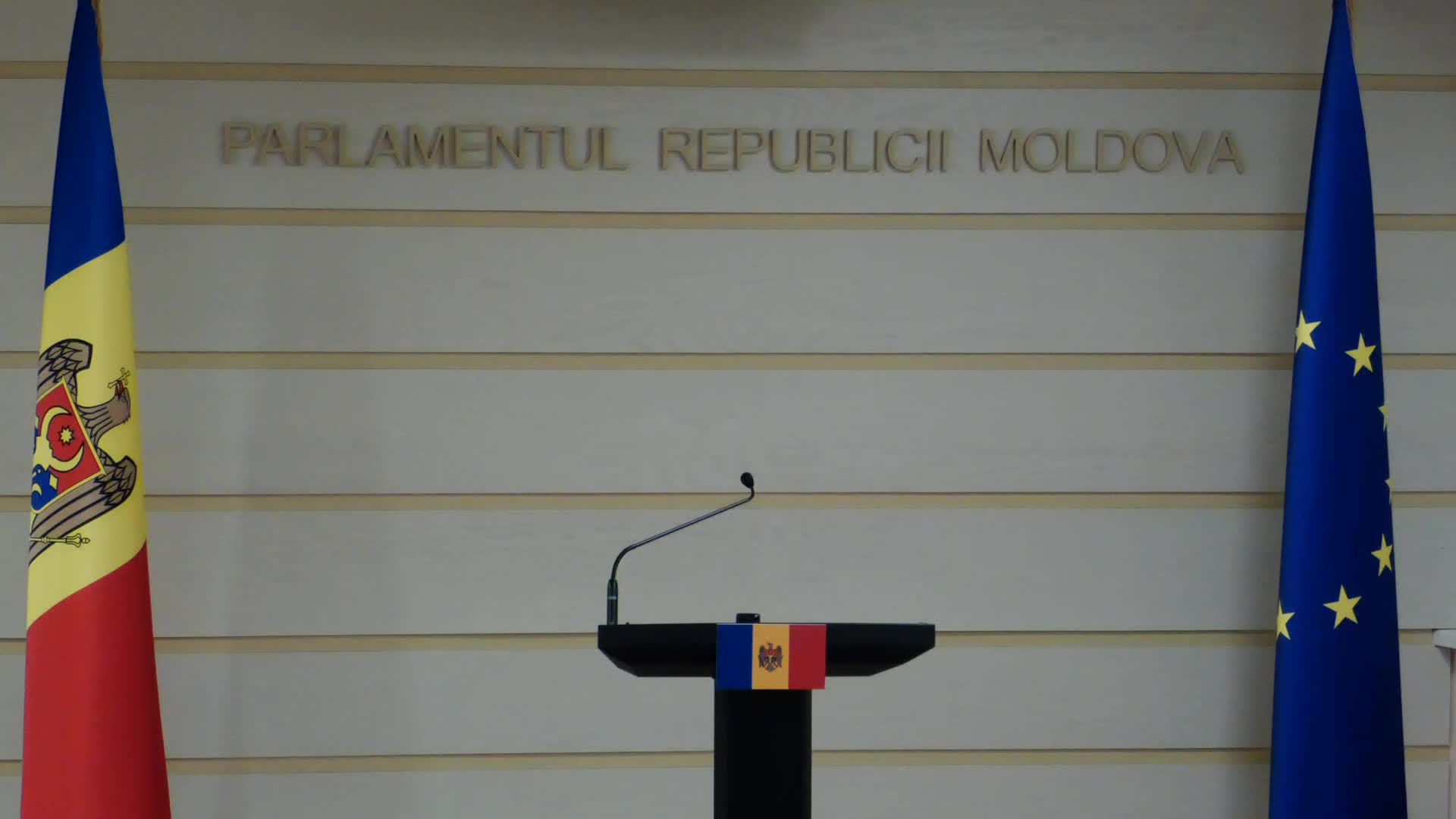Briefing de presă susținut de către deputata PSRM, Ala Ursu-Antoci