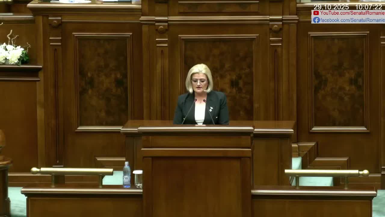 Ședința în plen a Senatului României din 29 octombrie 2025
