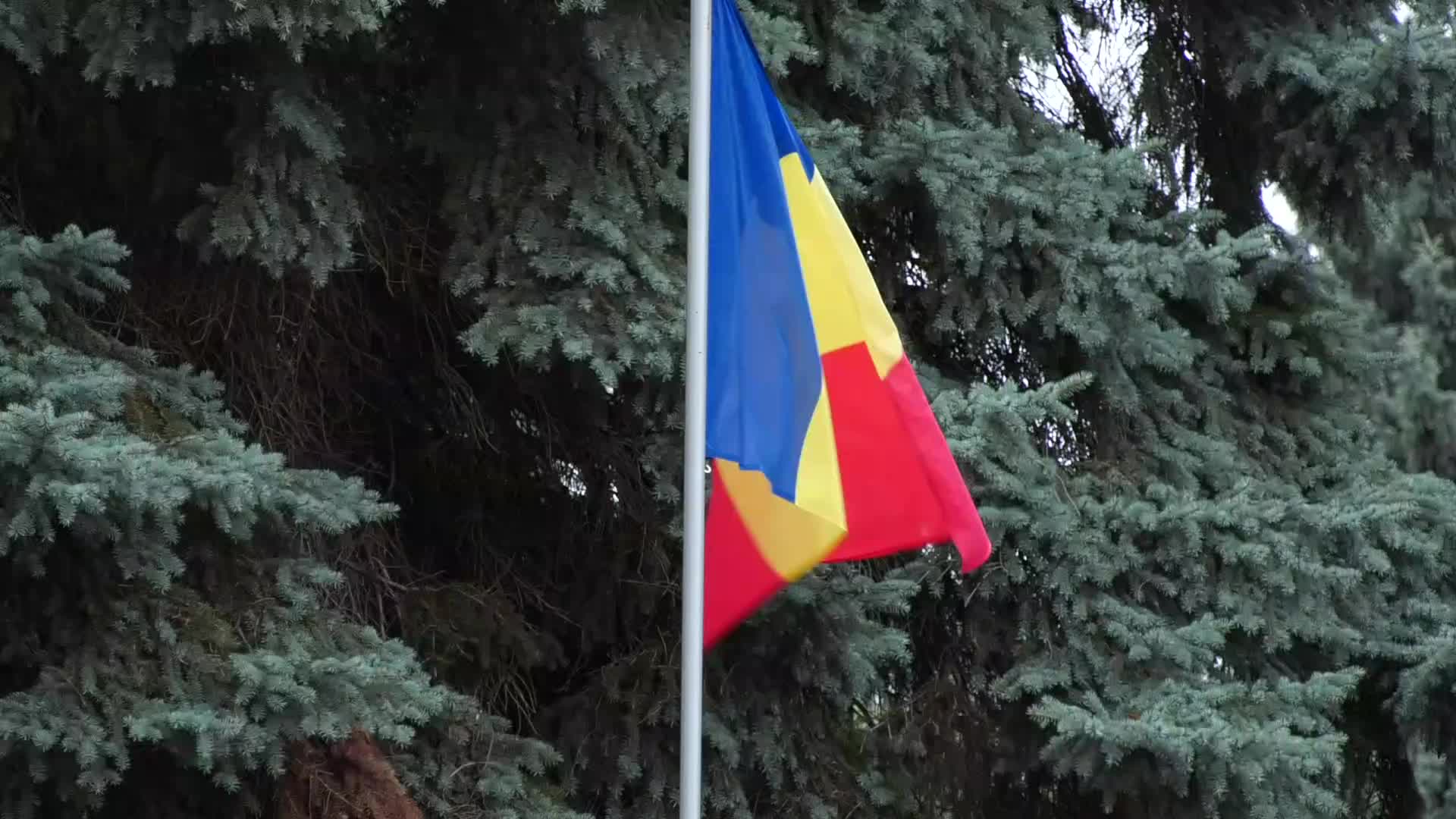 Întâmpinarea prim-ministrului României, Luca Niculescu, de către prim-ministrul Republicii Moldova, Vasile Tofan